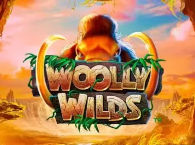PlayAmo Casino screenshot